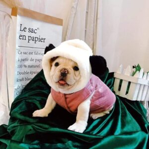 Frenchie World Shop Pink / S Pink Panda French Bulldog Vest