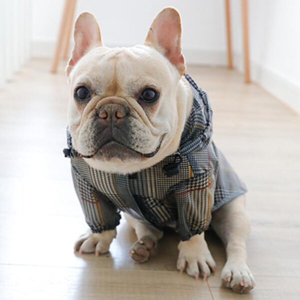 Frenchie World Shop Black / SS Plaid French Bulldog Raincoat