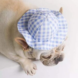 Frenchie World Shop Plaid French Bulldog Summer Hat