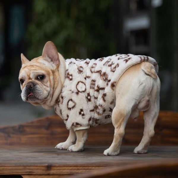 Frenchie World Shop hoodie B / XXL Plush Leopard French Bulldog Sweatshirt