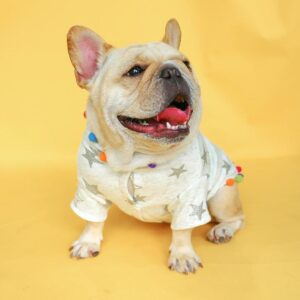 Frenchie World Shop hoodie Pom-Pom Star French Bulldog Hoodie