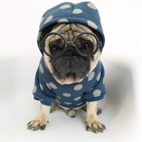 Frenchie World Shop Dog Clothing PomPom hoodie by Frenchie World®