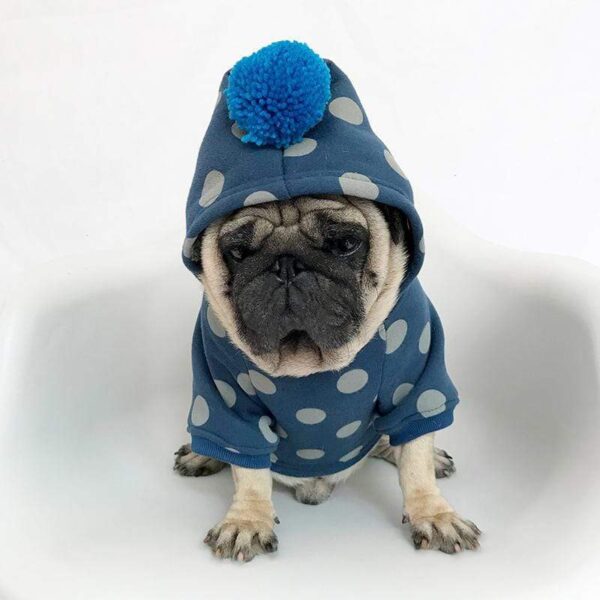 Frenchie World Shop Dog Clothing PomPom hoodie by Frenchie World®