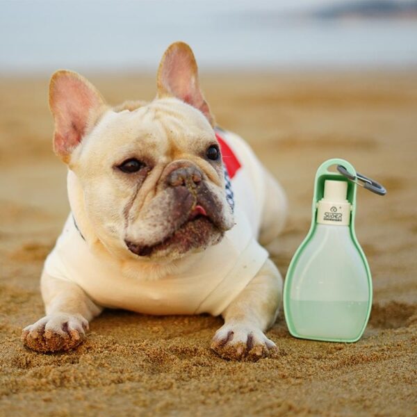 Frenchie World Shop Dog Bowls Portable travel water bottle