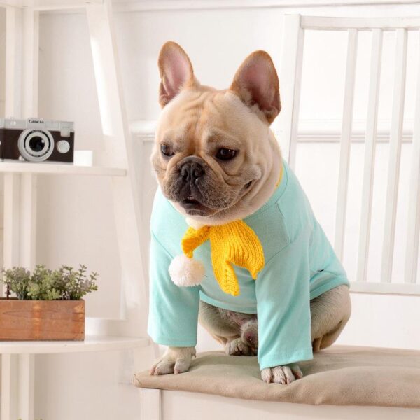 Frenchie World Shop Preppy Dog Shirt With Scarf