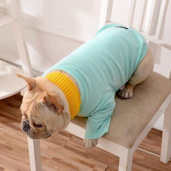 Frenchie World Shop Preppy Dog Shirt With Scarf