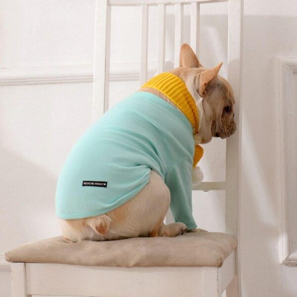 Frenchie World Shop Preppy Dog Shirt With Scarf