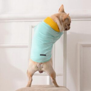 Frenchie World Shop Preppy Dog Shirt With Scarf