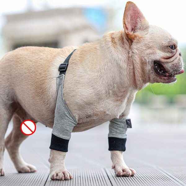 Frenchie World Shop Pressure Sores Covers For Frenchies