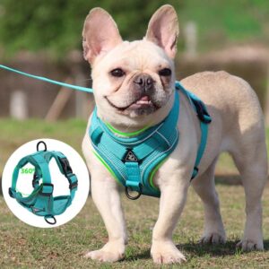 Frenchie World Shop Professional Mesh & Reflective French Bulldog Harness