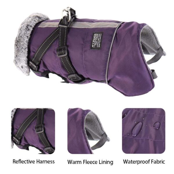Frenchie World Shop Professional Outdoor French Bulldog Padded Vest
