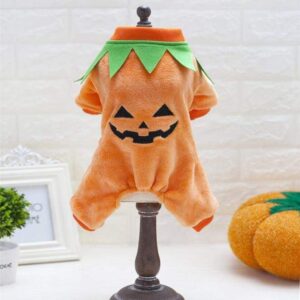 Frenchie World Shop Pumpkin Halloween Costume