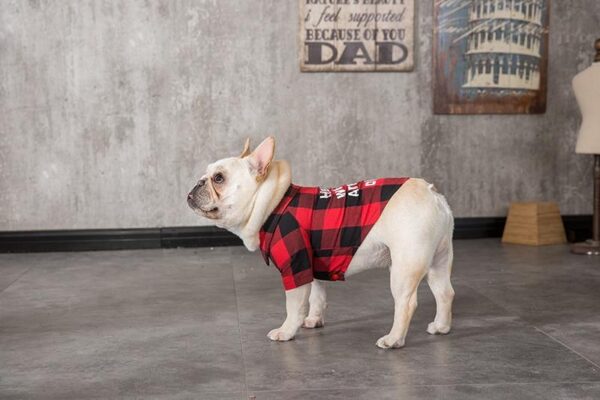 Frenchie World Shop R U OK Plaid Flannel Dog Shirt