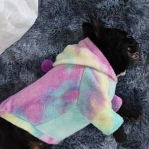 Frenchie World Shop Rainbow French Winter Fleece Hoodie