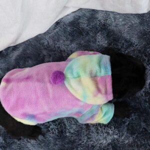 Frenchie World Shop Colorful / XXL Rainbow French Winter Fleece Hoodie