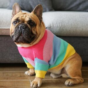 Frenchie World Shop Rainbow Knitted Jumper