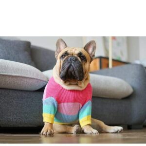 Frenchie World Shop Rainbow Knitted Jumper