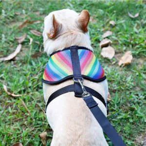 Frenchie World Shop Rainbow Mesh French Bulldog Harness