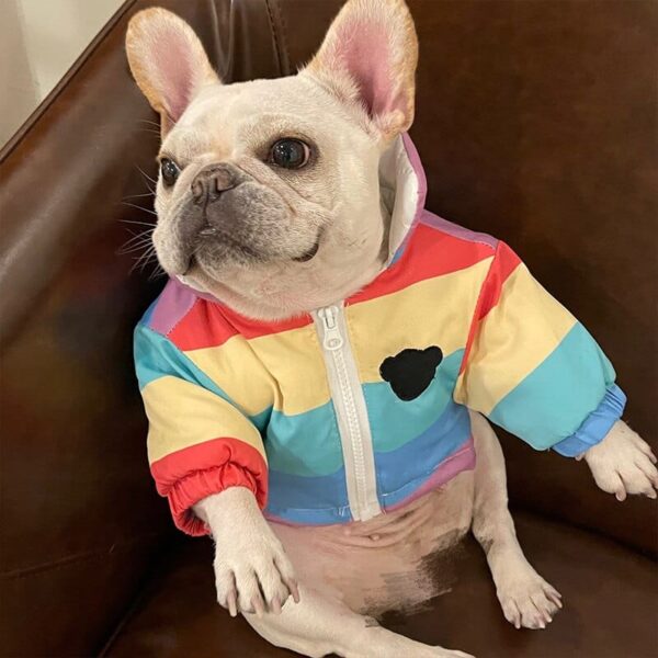 Frenchie World Shop Rainbow Windbreaker French Bulldog Jacket