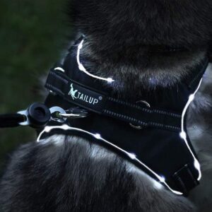 Frenchie World Shop Rechargable LED Oxford Harness