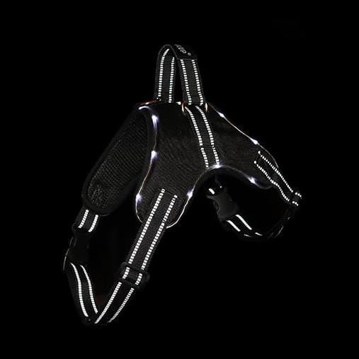 Frenchie World Shop Rechargable LED Oxford Harness