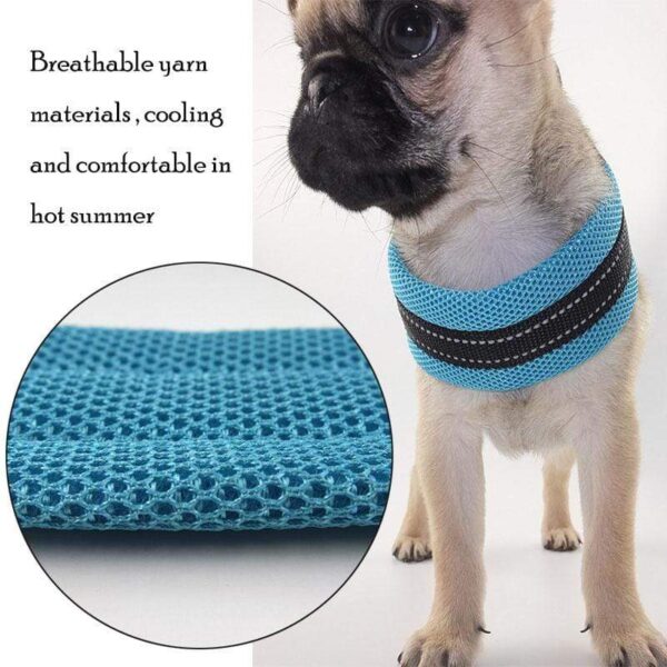 Frenchie World Shop Reflective Mesh Dog Harness