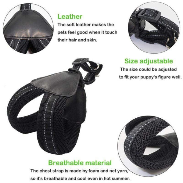 Frenchie World Shop Reflective Mesh Dog Harness