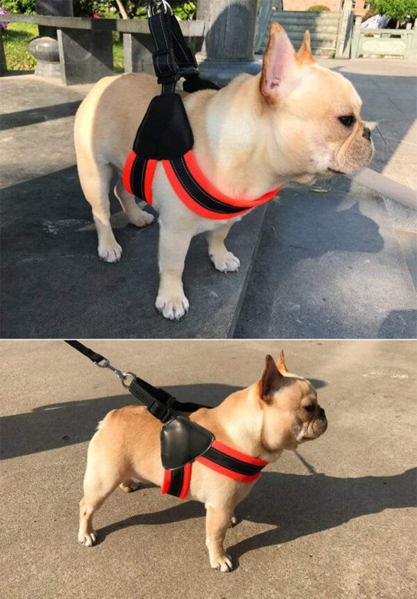 Frenchie World Shop Reflective Mesh Dog Harness