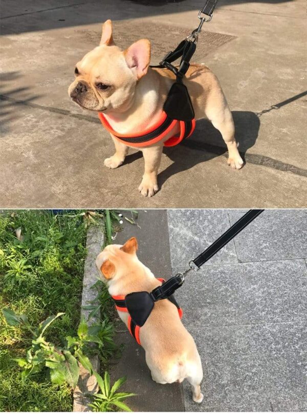 Frenchie World Shop Reflective Mesh Dog Harness