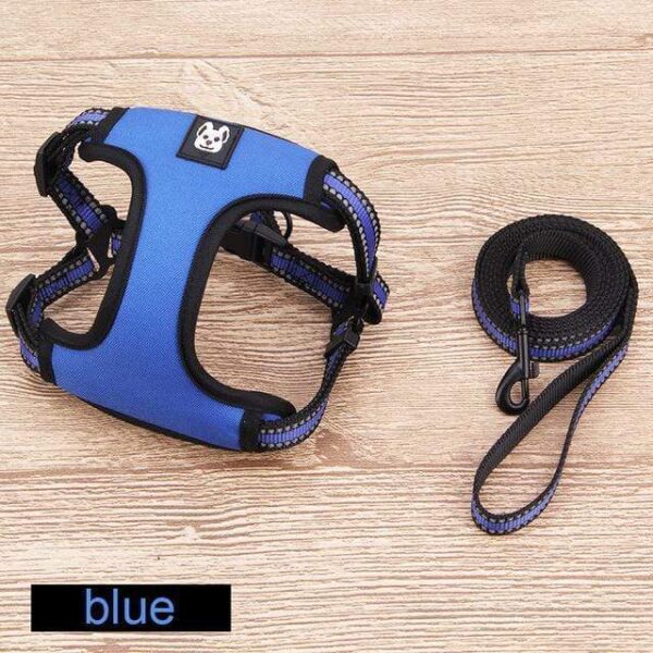 Frenchie World Shop Blue / L Reflective Neon French Bulldog Harness