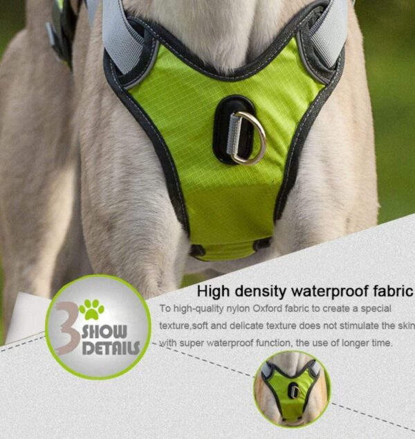 Frenchie World Shop Reflective & Orthopedic French Bulldog Harness