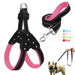 Frenchie World Shop Dog Accessories Rhinestone SOFT Dog Harness & Leash set