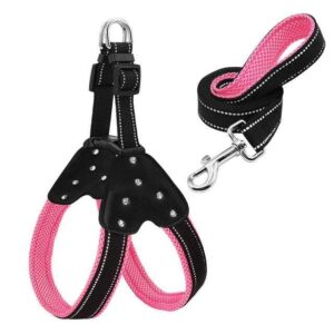 Frenchie World Shop Dog Accessories Pink / L Rhinestone SOFT Dog Harness & Leash set