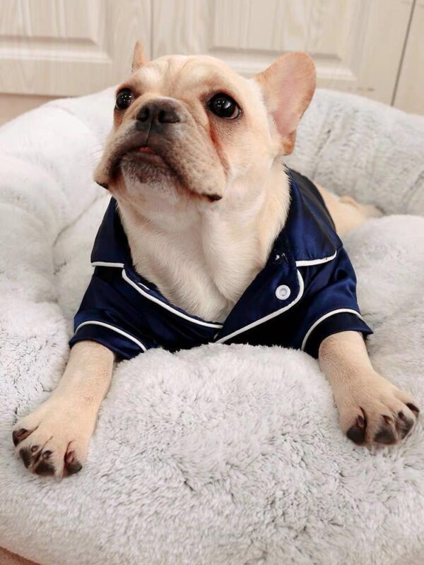 Frenchie World Shop Satin Frenchie Pajamas