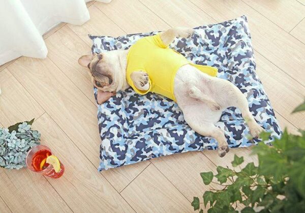 Frenchie World Shop Dog bed Self Cooling™ pad bed