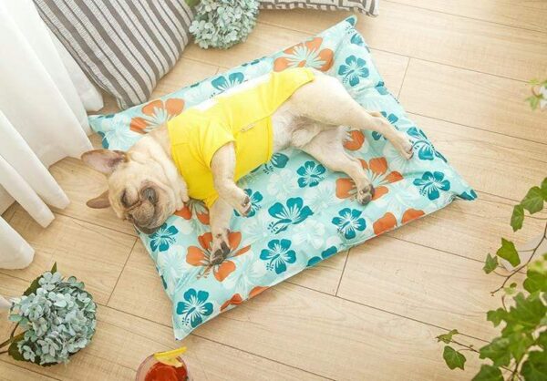 Frenchie World Shop Dog bed Self Cooling™ pad bed