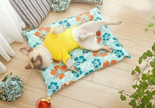 Frenchie World Shop Dog bed Self Cooling™ pad bed