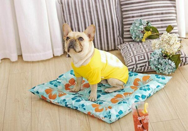 Frenchie World Shop Dog bed Self Cooling™ pad bed