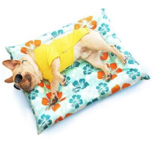 Frenchie World Shop Dog bed Green / XL Self Cooling™ pad bed