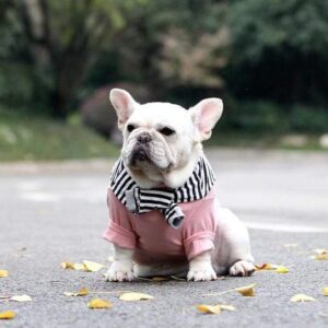 Frenchie World Shop Shawl Collar Frenchie crewneck