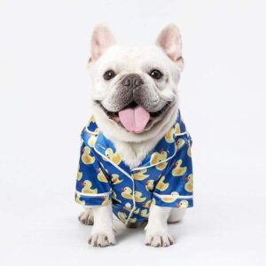 Frenchie World Shop Blue / XXXL-12-14kg Silk Satin French Bulldog Pajamas