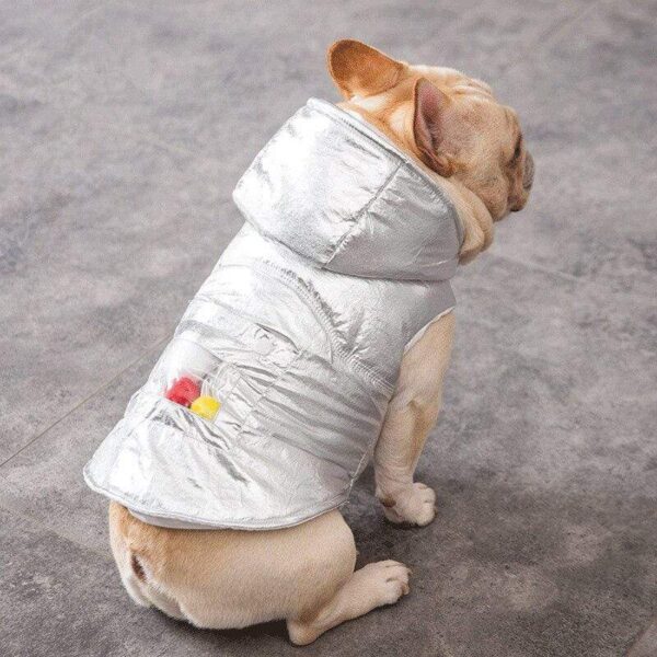 Frenchie World Shop Silver French Bulldog Coat