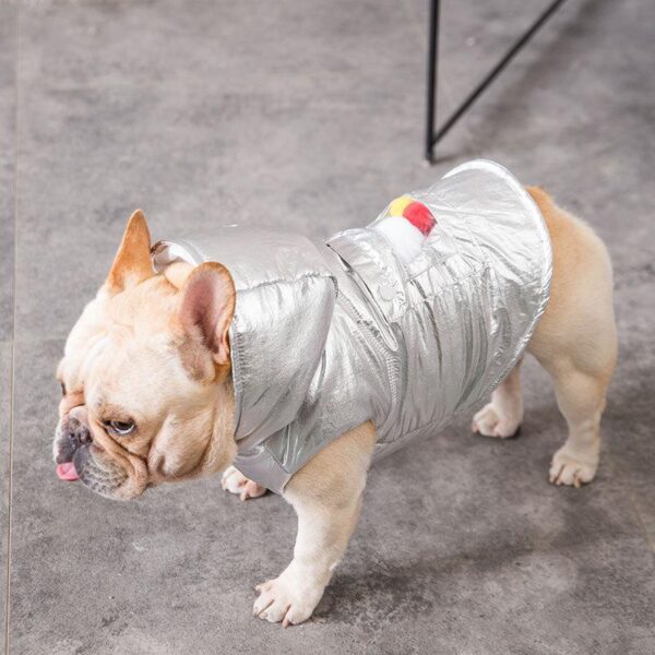 Frenchie World Shop Silver French Bulldog Coat