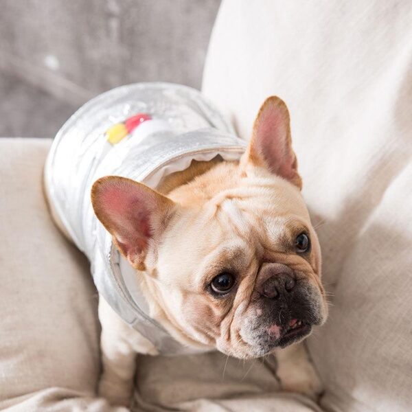 Frenchie World Shop Silver French Bulldog Coat