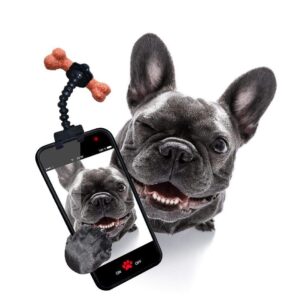 Frenchie World Shop Smartphone Treat Holder - Dog Selfie Stick