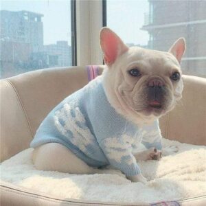 Frenchie World Shop Snowflake / S Snowflake French Bulldog Sweater