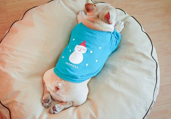 Frenchie World Shop Snowman Dog Winter Sweatshirt