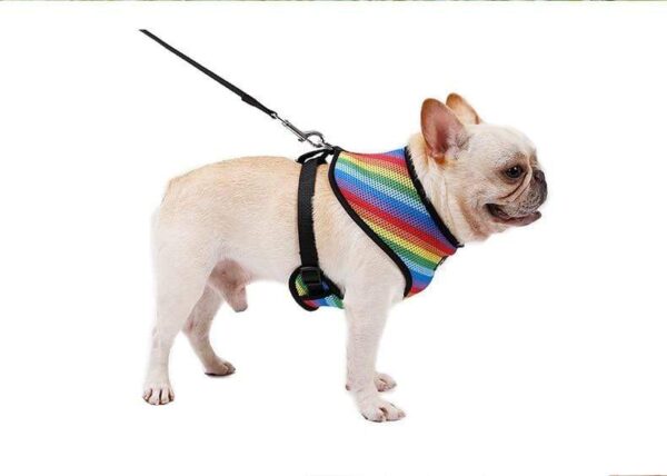 Frenchie World Shop Soft Breathable Rainbow French Bulldog Harness