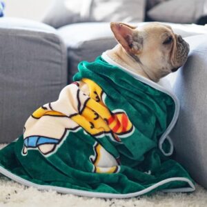 Frenchie World Shop Green / 100x70cm Soft Premium Grade French Bulldog Blanket