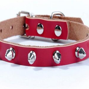 Frenchie World Shop Genuine leather / S Spiked French Bulldog Collar